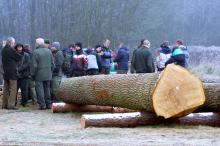 I Regionalna Submisja Drewna Cennego RDLP w Radomiu rozstrzygnięta