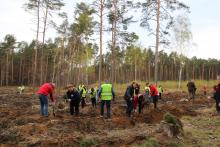 Akcja sadzenia lasu wraz z lokalną społecznością zakończona